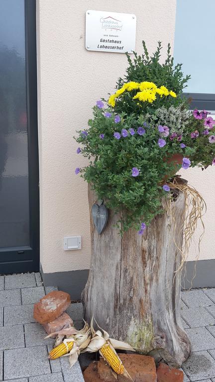 Hotel Lohauserhof - Biohof Und Rohrmoos
